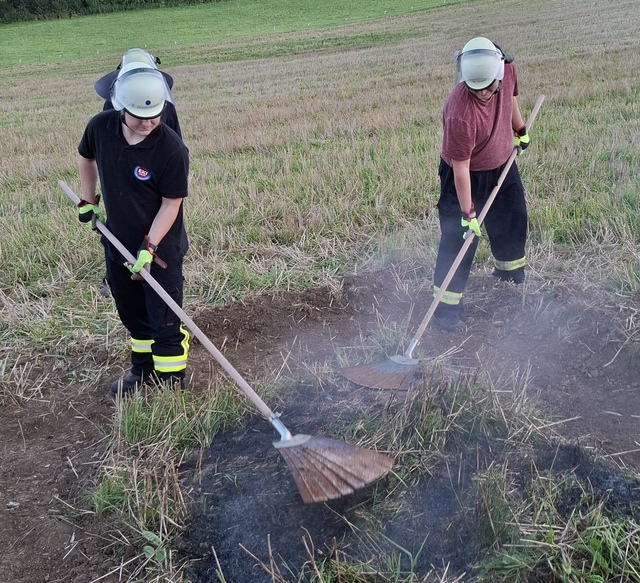 Gemeinsame Übung zur Vegetationsbrandbekämpfung in Wennigloh